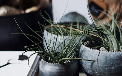 Fast Cheap, or Quality