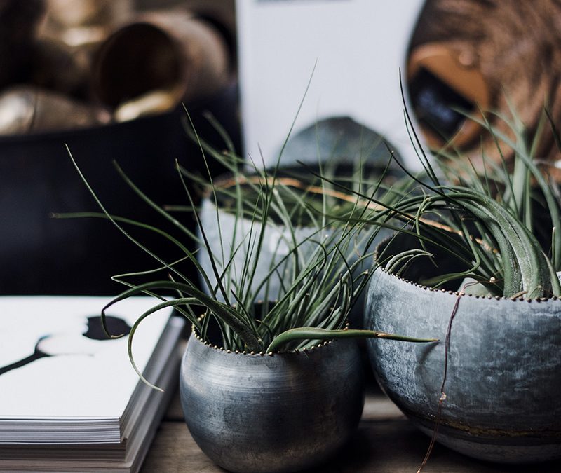 Fast Cheap, or Quality